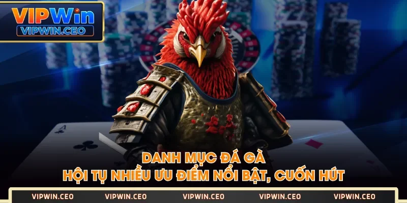 Danh mục Đá Gà hội tụ nhiều ưu điểm nổi bật, cuốn hút Danh mục Đá Gà hội tụ nhiều ưu điểm nổi bật, cuốn hút