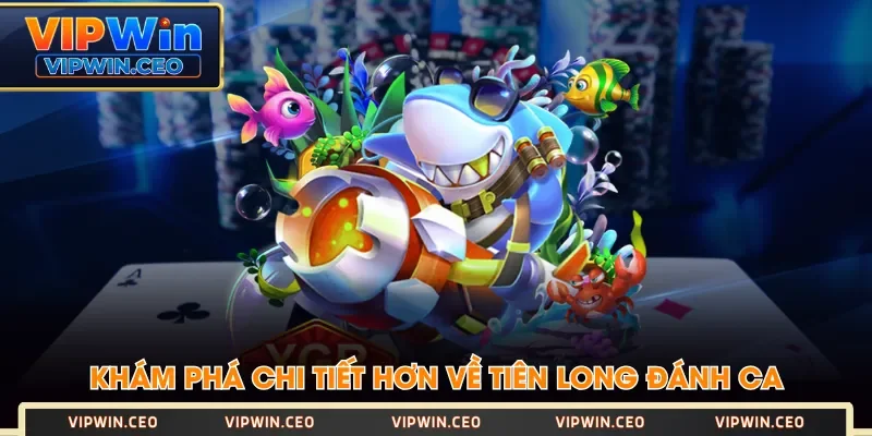 Khám phá chi tiết hơn về Tiền Long Đánh Cá Khám phá chi tiết hơn về Tiền Long Đánh Cá