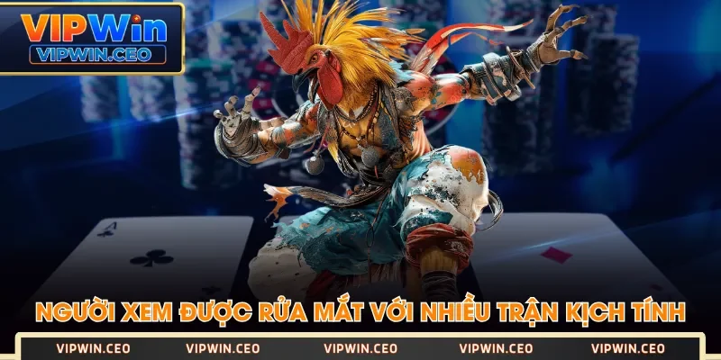 Người xem được rửa mắt với nhiều trận kịch tính Người xem được rửa mắt với nhiều trận kịch tính