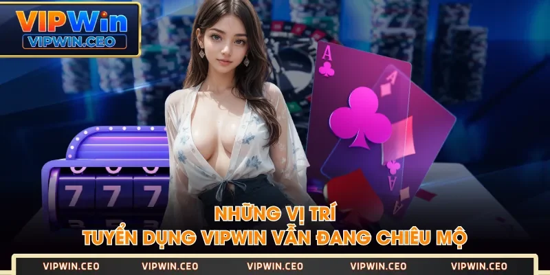 Những vị trí tuyển dụng VIPWIN vẫn đang chiêu mộ Những vị trí tuyển dụng VIPWIN vẫn đang chiêu mộ