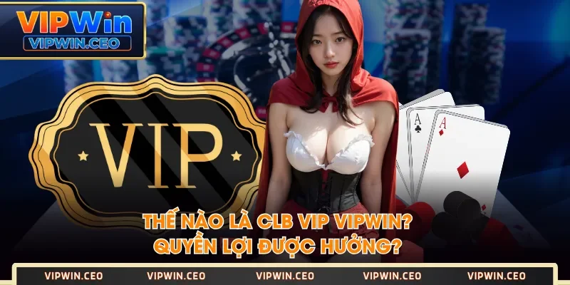 Thế nào là CLB VIP VIPWIN? Quyền lợi được hưởng? Thế nào là CLB VIP VIPWIN? Quyền lợi được hưởng?