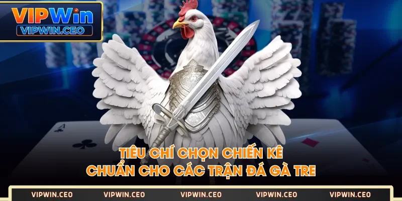 Tiêu chí chọn chiến kê chuẩn cho các trận đá gà tre Tiêu chí chọn chiến kê chuẩn cho các trận đá gà tre